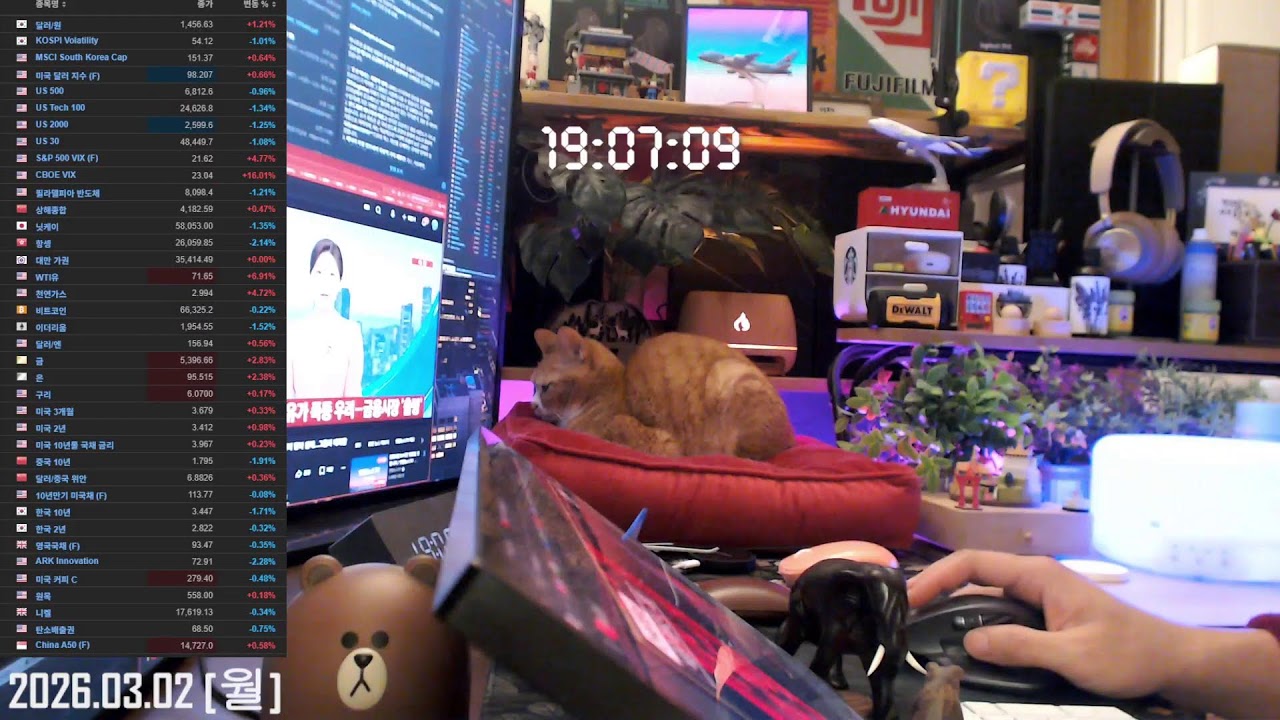 조용한 집중 / 주식 트레이딩 | Study + Trading with me 🐱 with cat | Korean Chill Room