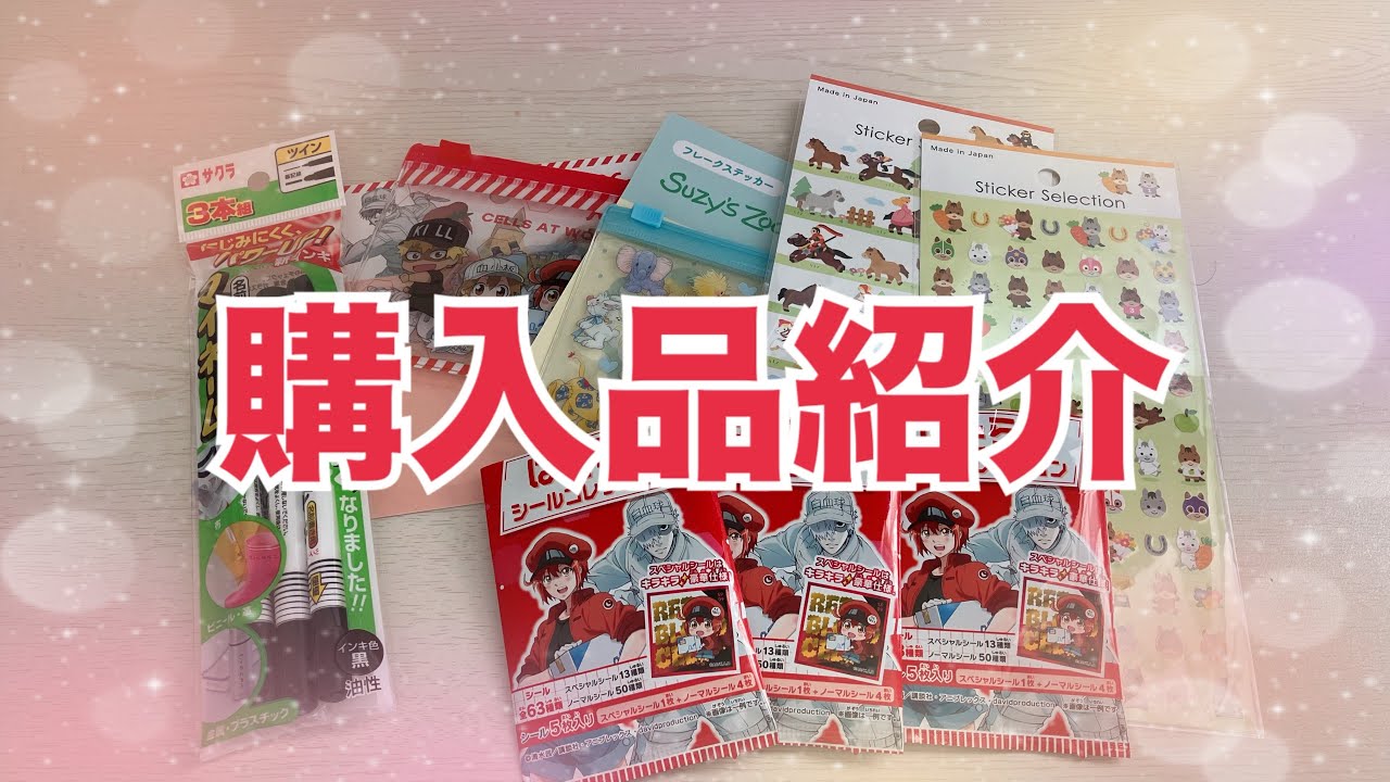 購入品紹介〜セリア・サンキューマート・イオン〜