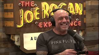 How I quite drinking using Ibogaine! #jre #shawnryanshow