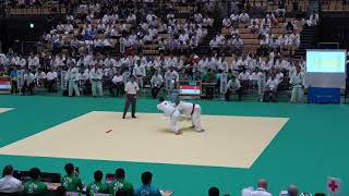 2018IH 柔道男子 90kg級 1回戦 池田 天理（奈良県） 対 斉本研アレクサンドル 小杉（富山県）