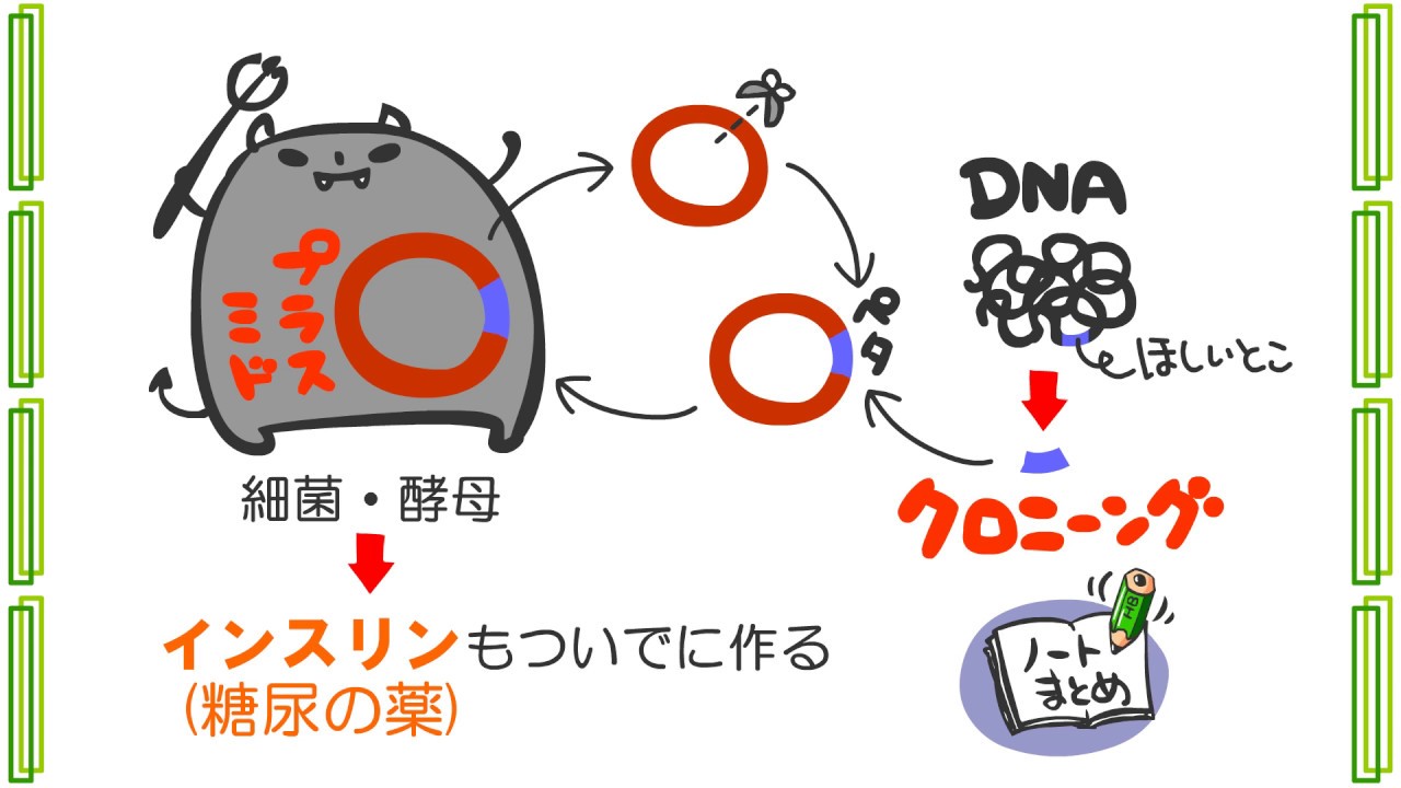 生物2章5話「遺伝子操作」byWEB玉塾 - YouTube
