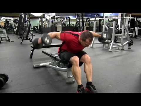 Seated Dumbbell Rear Delt Fly