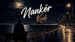 İbrahim Tatlıses - Nankör Kedi Ai Cover