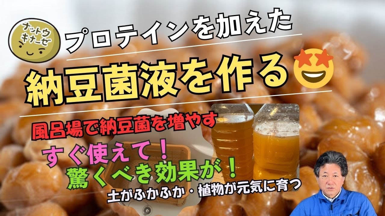 Make it in the bathroom!] Highly effective natto bacteria liquid
