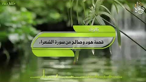 قصة هود وصالح من سورة الشعراء