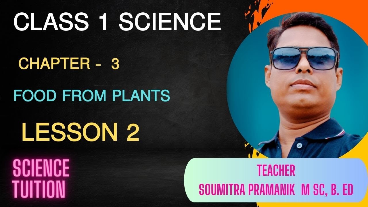 Class 1 science food from plants / Lesson 2 YouTube