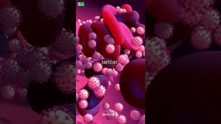 Penyebab Kamu Sering Mengantuk