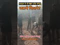 श्रमदान #chhattisgarh #army #viralvideo #chauhansir