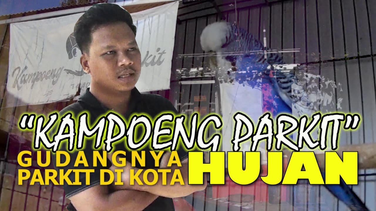 KAMPOENG PARKIT, MULAI FOKUS KEMBANGKAN WARNA-WARNA YANG ASYIK DAN LANGKA