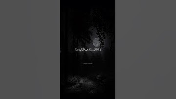 اذكر الله تؤجر عليه😴❤️ #المنشاوي #تلاوة_مؤثرة #محمد_صديق_المنشاوي #المنشاوي_الباكي #راحة_نفسية