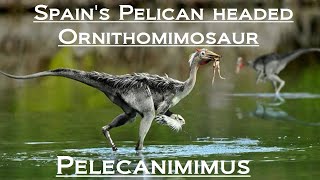Prehistoric Breakdown: Pelecanimimus