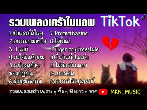 รวมเพลงฮิตในTikTokล่าสุด รวมเพลงฮิตในแอพติ๊กต๊อกล่าสุด 