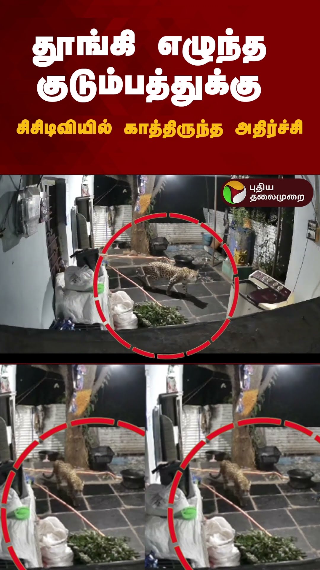 தூங்கி எழுந்த குடும்பத்துக்கு சிசிடிவியில் காத்திருந்த அதிர்ச்சி | #shorts | #leopard