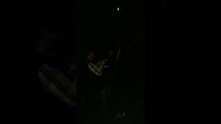 Pompalı Tüfekle Gece Atışı Ni̇rvana