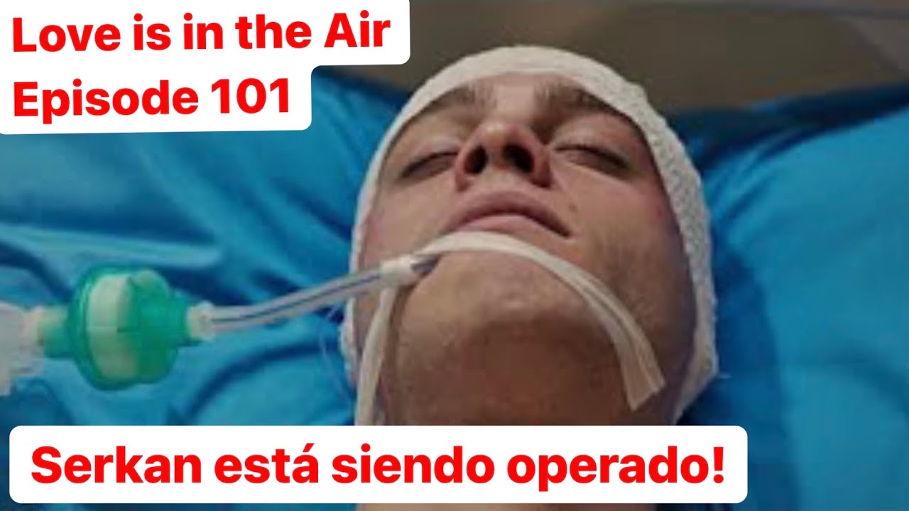 Love Is In The Air Episodio 101