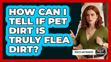 How Can I Tell If Pet Dirt Is Truly Flea Dirt? - Insects and Invaders