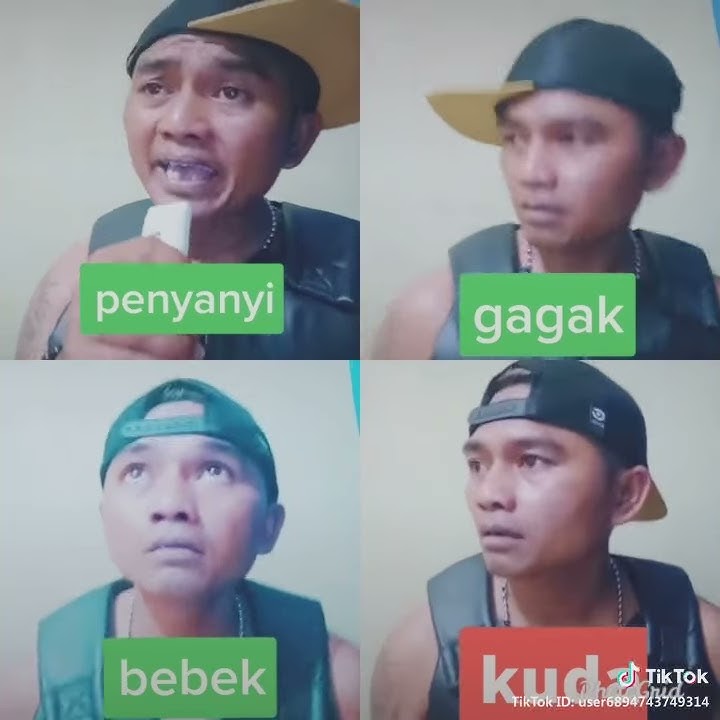 Tak ingin sendiri versi gagak (tiktok)