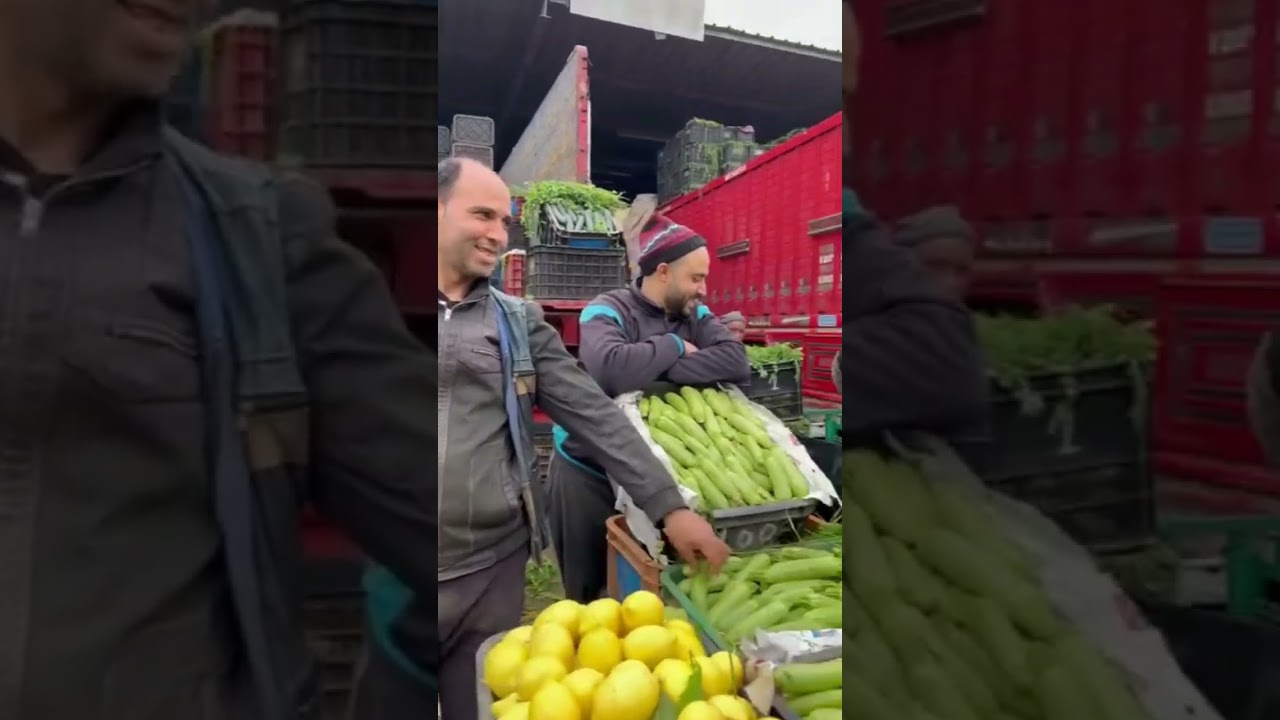 أثمنة اليوم السبت 28 فبراير 2026 بسوق الجملة الدار البيضاء 🍅#سوق_الدار_البيضاء #أثمنة_السوق #الفلاحة