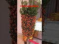 Chinese Mandarin #beautiful #decorations