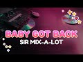 Sir Mix A Lot Baby Got Back Lyrics
