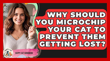 Why Should You Microchip Your Cat To Prevent Them Getting Lost? - Happy Cat Handbook