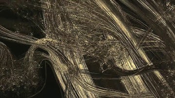 Self Reflected   A Guided Tour