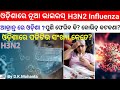 H3N2 influenza Virus Explain ଲକ୍ଷଣ Control,Symptoms,Treatment, ଘାତକ news #influenzavirus #h3n2 #odia