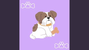 Mysterious Moods for Lazy Doggo