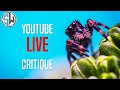 Macro Photo Critique Live!