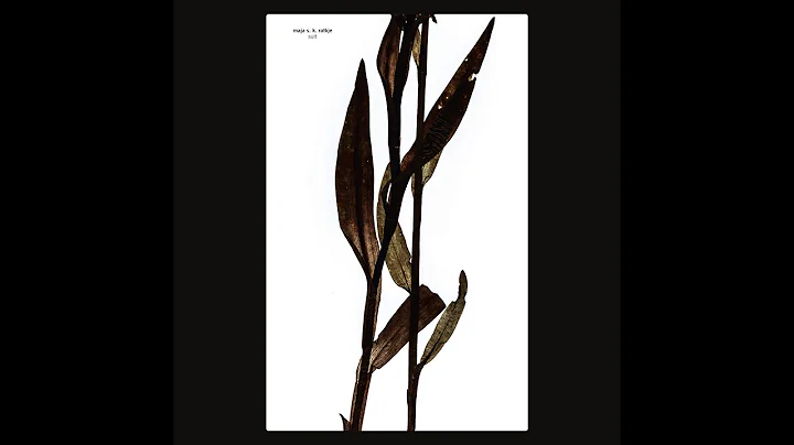 Maja S. K. Ratkje - Sult
