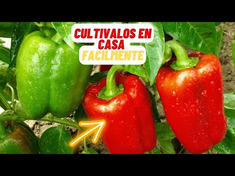 2 Metodos Para