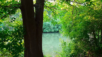 Zhiyun Smooth-Q gimbal + Samsung S9 plus video test 1080p