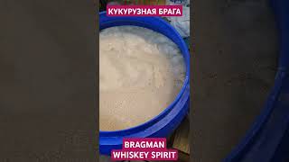 :      Bragman Whiskey Spirit # #