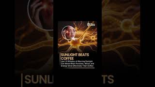 Sunlight beats coffee ☕ #shortvideo #ytshorts #viral #facts #youtubeshorts #science