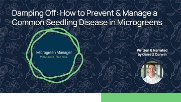 Damping Off: How to Prevent & Manage a Common Seedling Disease in Microgreens