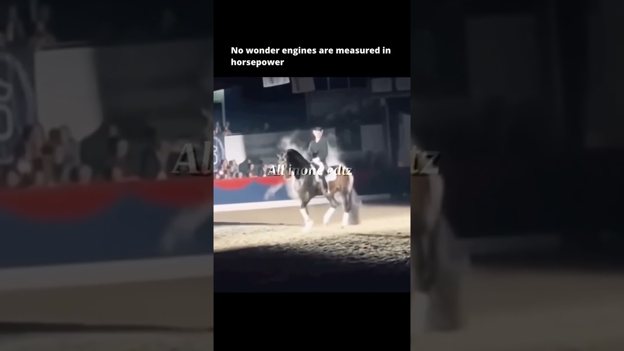 horsepower 🔥☠️