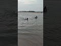 Swiming in the beach is intersting