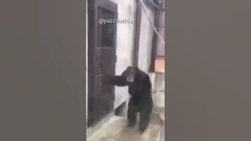 افتح التتش يا بيبو 