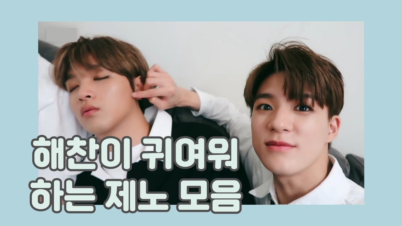 [NCT 제노 해찬] 해찬이 귀여워하는 제노 모음
