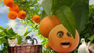 Crazy Orange Make Funny Animal Sounds