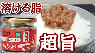 なめらかで品のあるハンバーグがめちゃくちゃに美味かった！