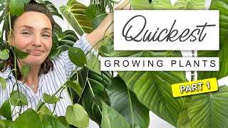 Top 10 FASTEST Growing Indoor Plants | Amazing Quickest Growing House Plants 🌿