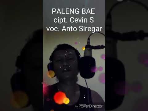 Paleng Bae. Lagu bikin BAPER. bahasa Indonesia dan Bahasa Batak. Edisi SAYUR KOL