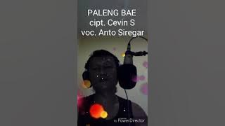 Download lagu Paleng Bae. Lagu bikin BAPER. bahasa Indonesia dan Bahasa Batak. Edisi SAYUR KOL