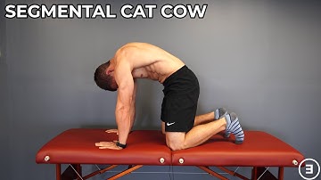 Segmental Cat Cow | Spine Range of Motion | Flexion & Extension