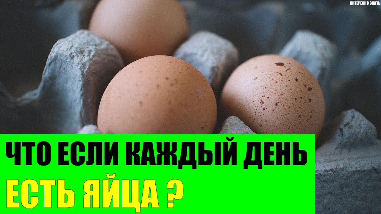 Яйцо каждый день Яйцо каждый день