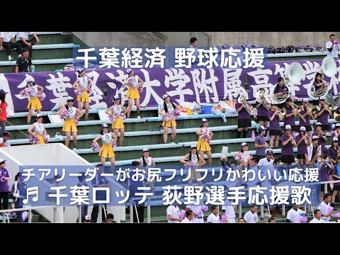 千葉経済 野球応援「千葉ロッテ 荻野選手応援歌」チアリーダーがお尻フリフリのかわいい応援（千葉県高校野球応援2016）