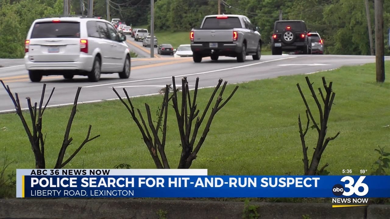 Police search for hit and run suspect - YouTube