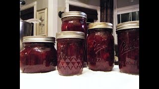CANNING 101: CRANBERRY FRUIT SAUCE - JANIES BEST!