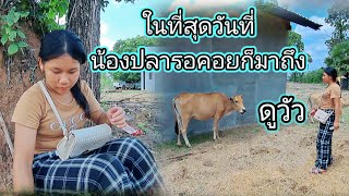 เกิดอะไรขึ้นบ้านน้องปลาถึงหยุดในการก่อสร้าง # วันที่น้องปลารอคอยมาถึงแล้ว 19 พฤษภาคม ค.ศ. 2024